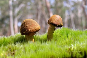 世界乒乓球公开赛赛场观众体验满意度报告公布，看世界乒乓球比赛